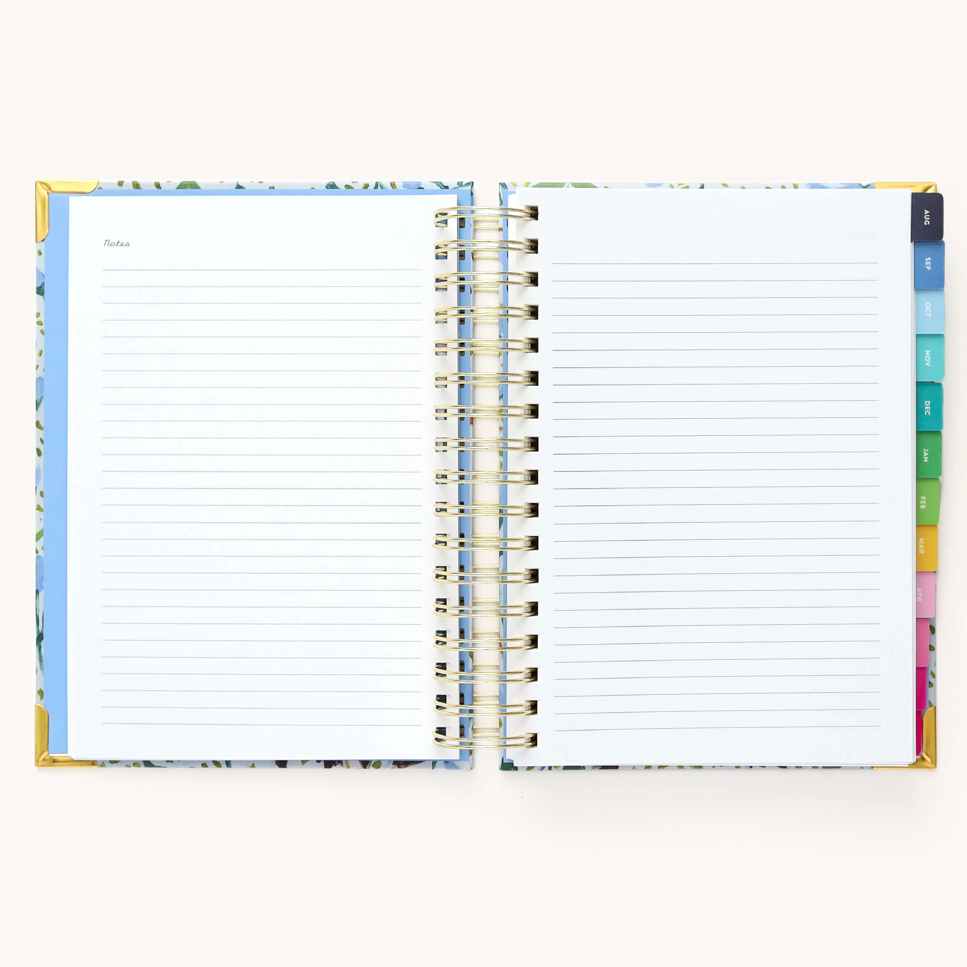 2024-2025 Daily Simplified Planner - Beaufort Birdies