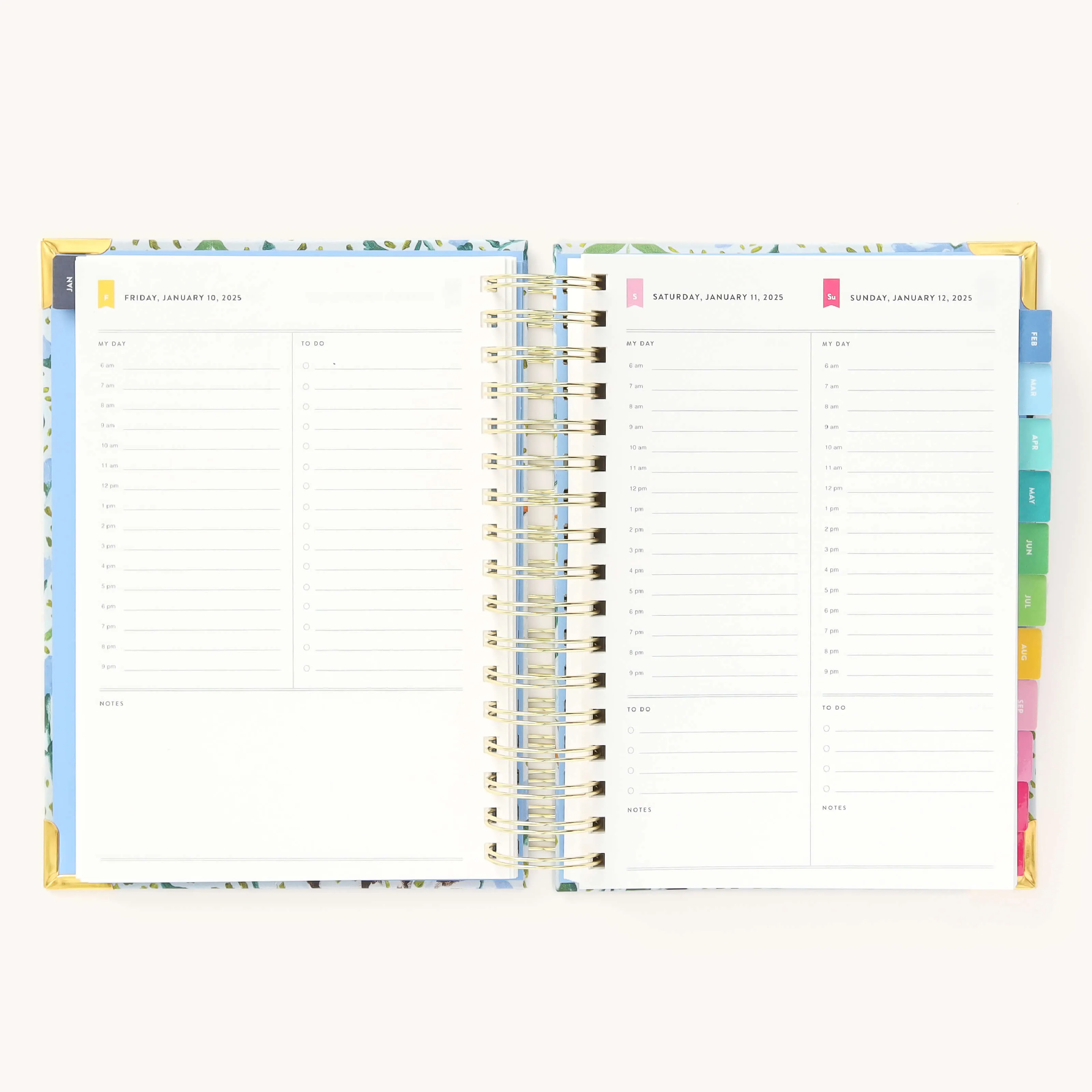 2025 Daily Simplified Planner - Beaufort Birdies