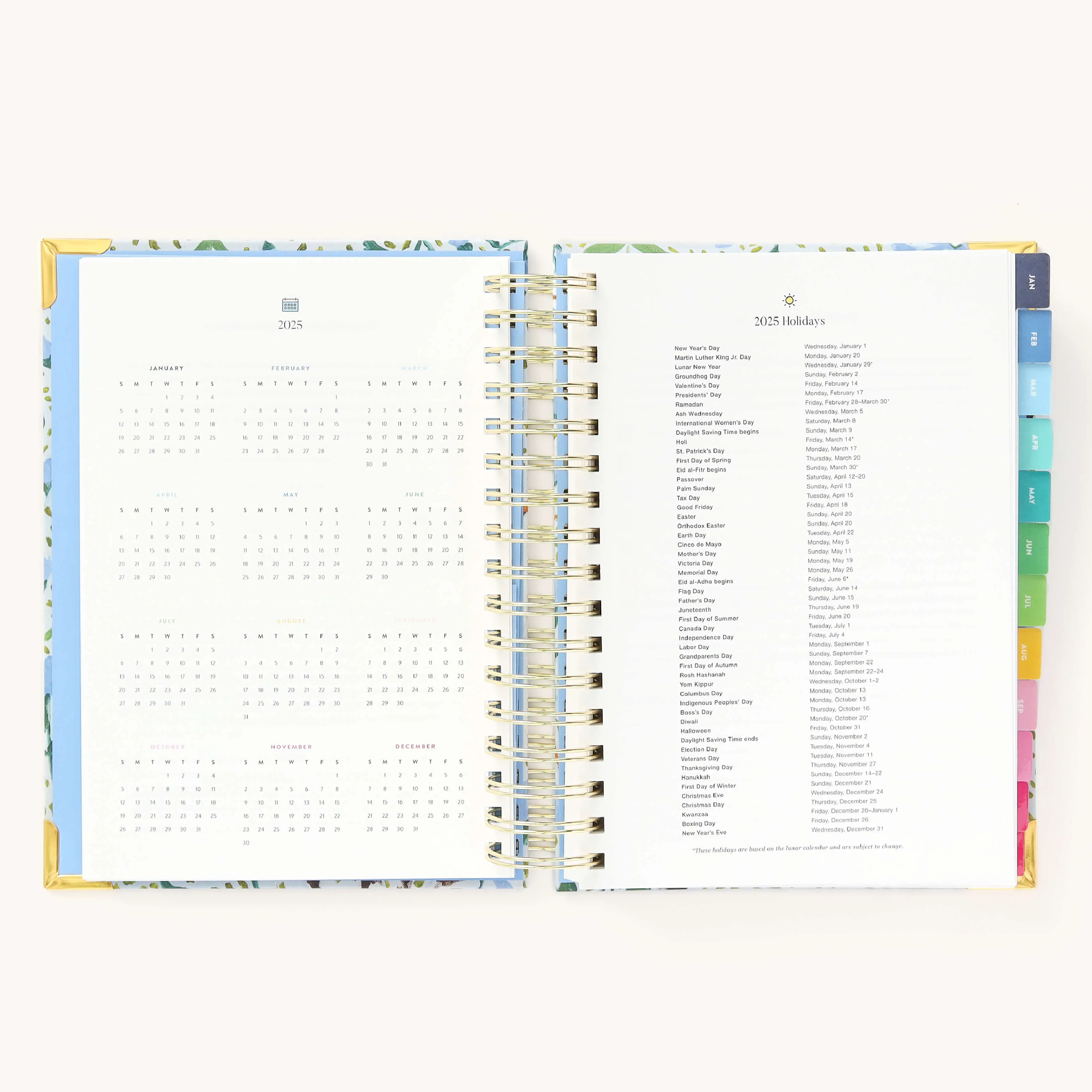 2025 Daily Simplified Planner - Beaufort Birdies
