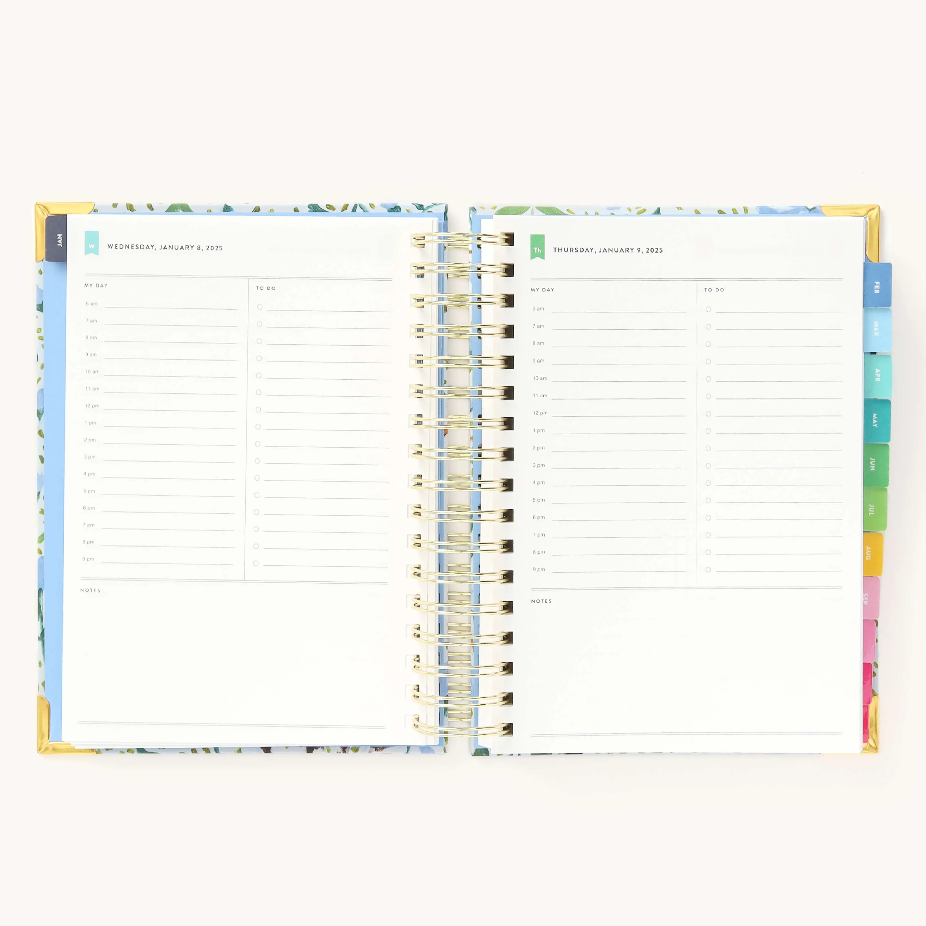 2025 Daily Simplified Planner - Beaufort Birdies