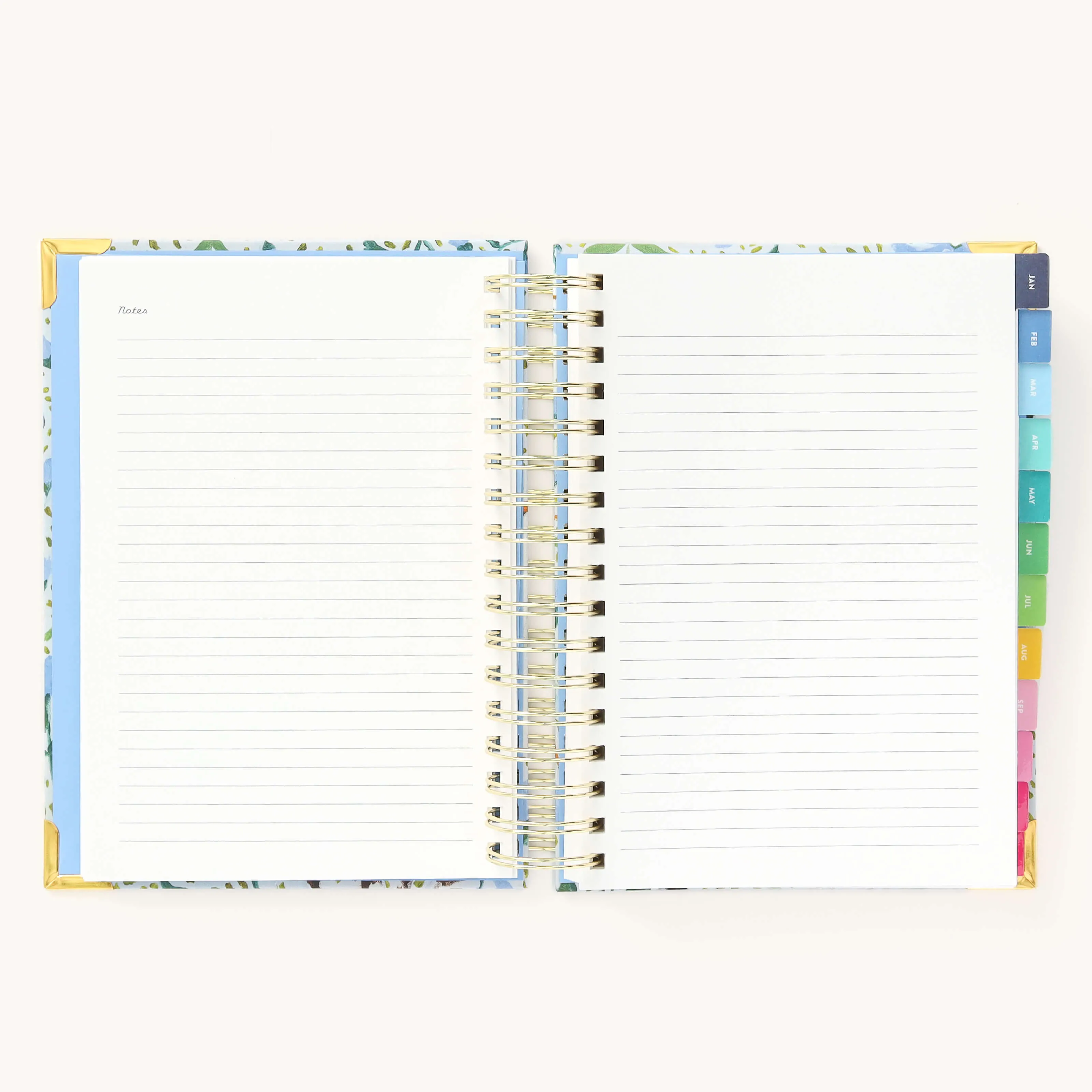 2025 Daily Simplified Planner - Beaufort Birdies
