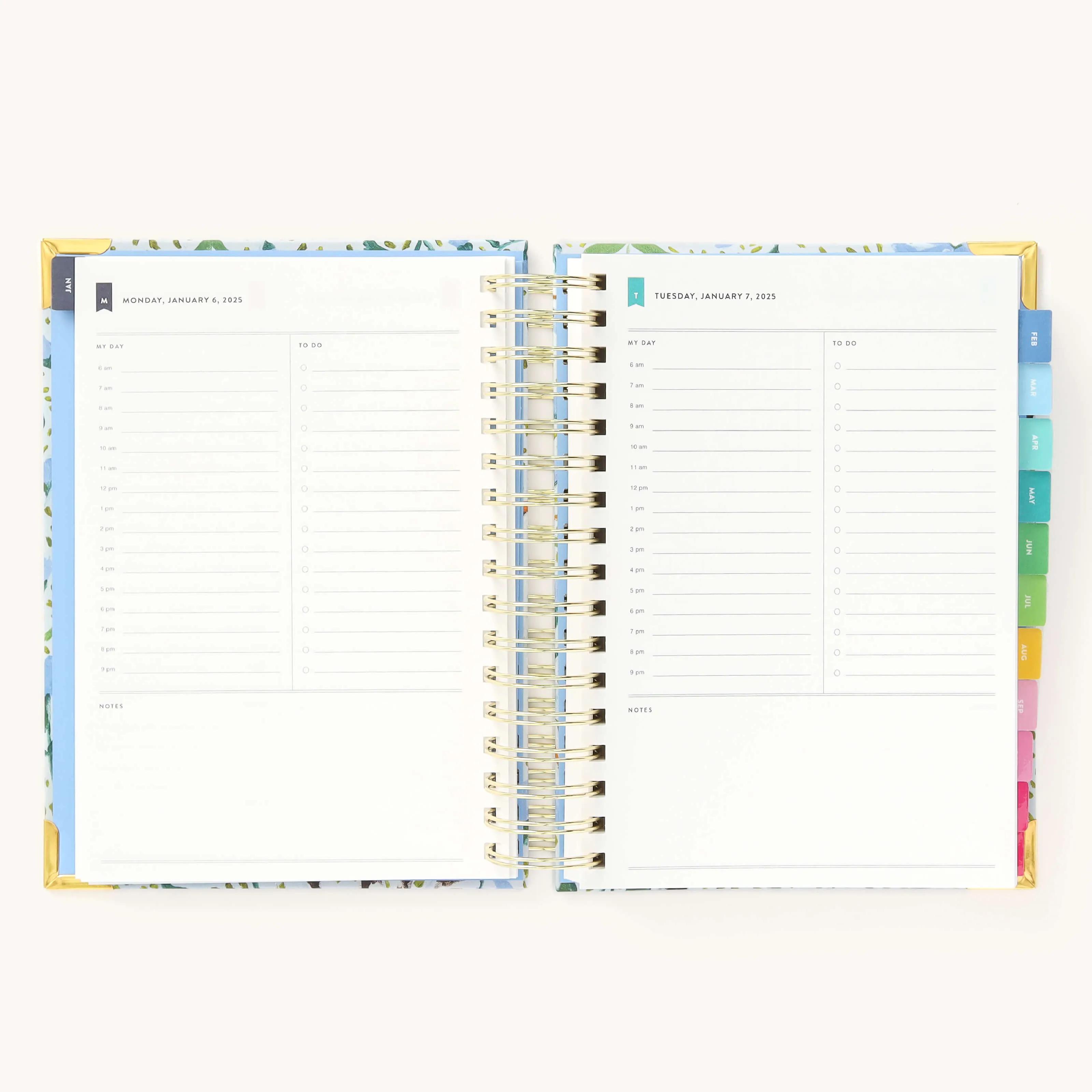 2025 Daily Simplified Planner - Beaufort Birdies