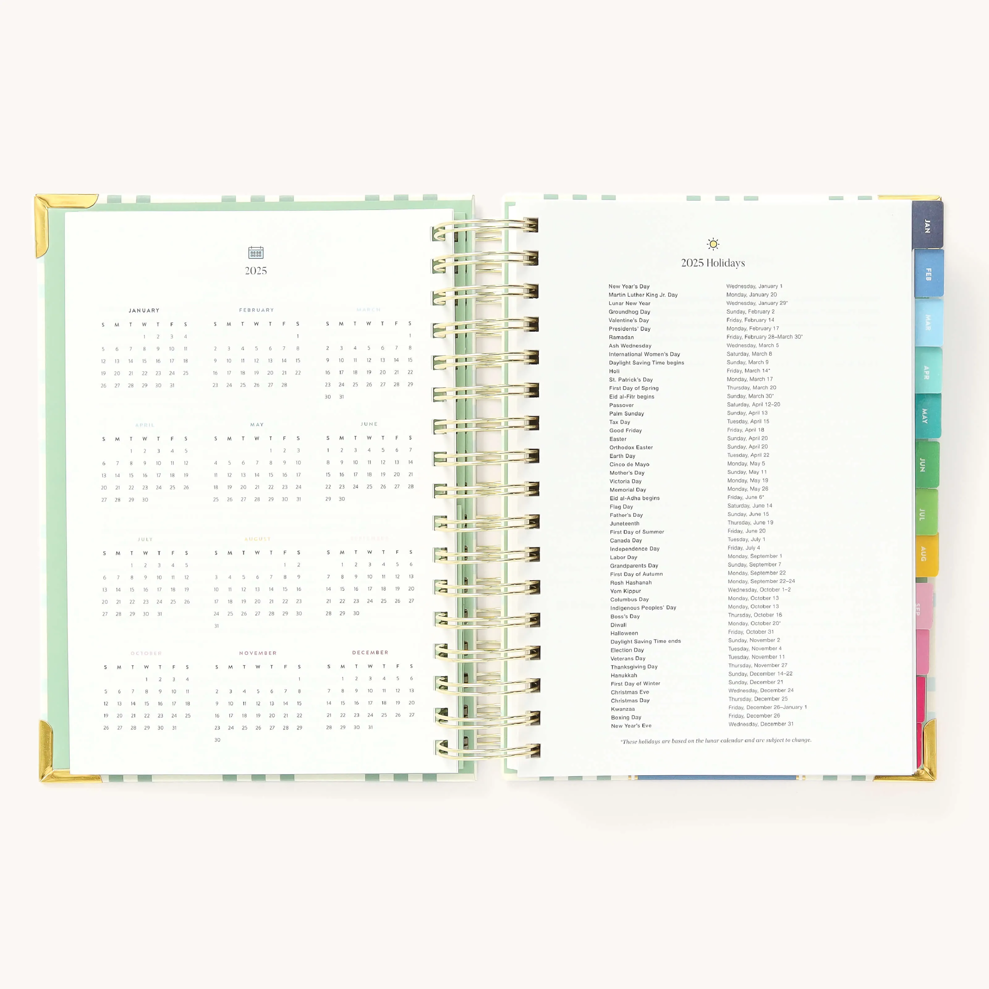 2025 Daily Simplified Planner - Pistachio Plaid