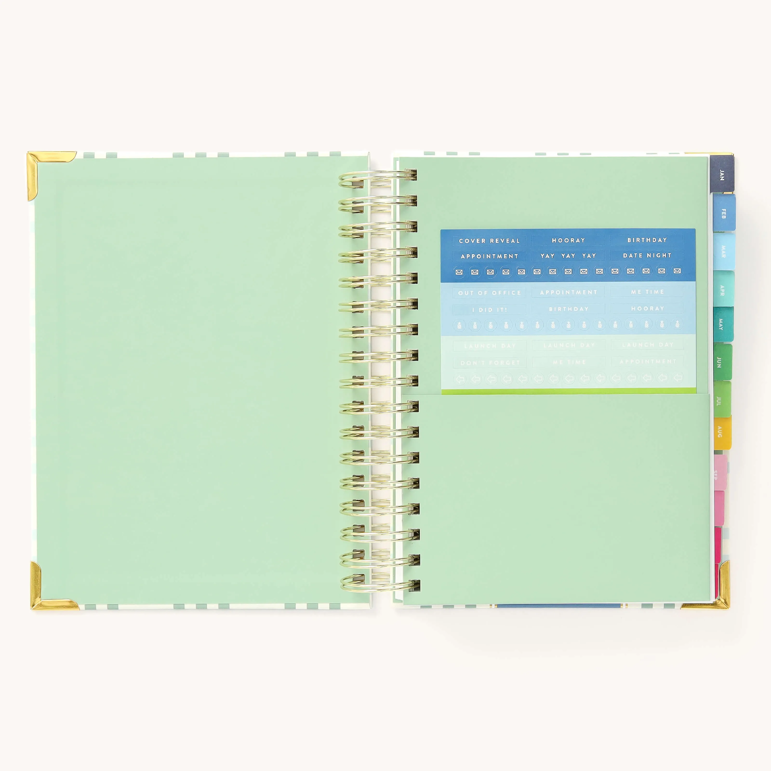 2025 Daily Simplified Planner - Pistachio Plaid