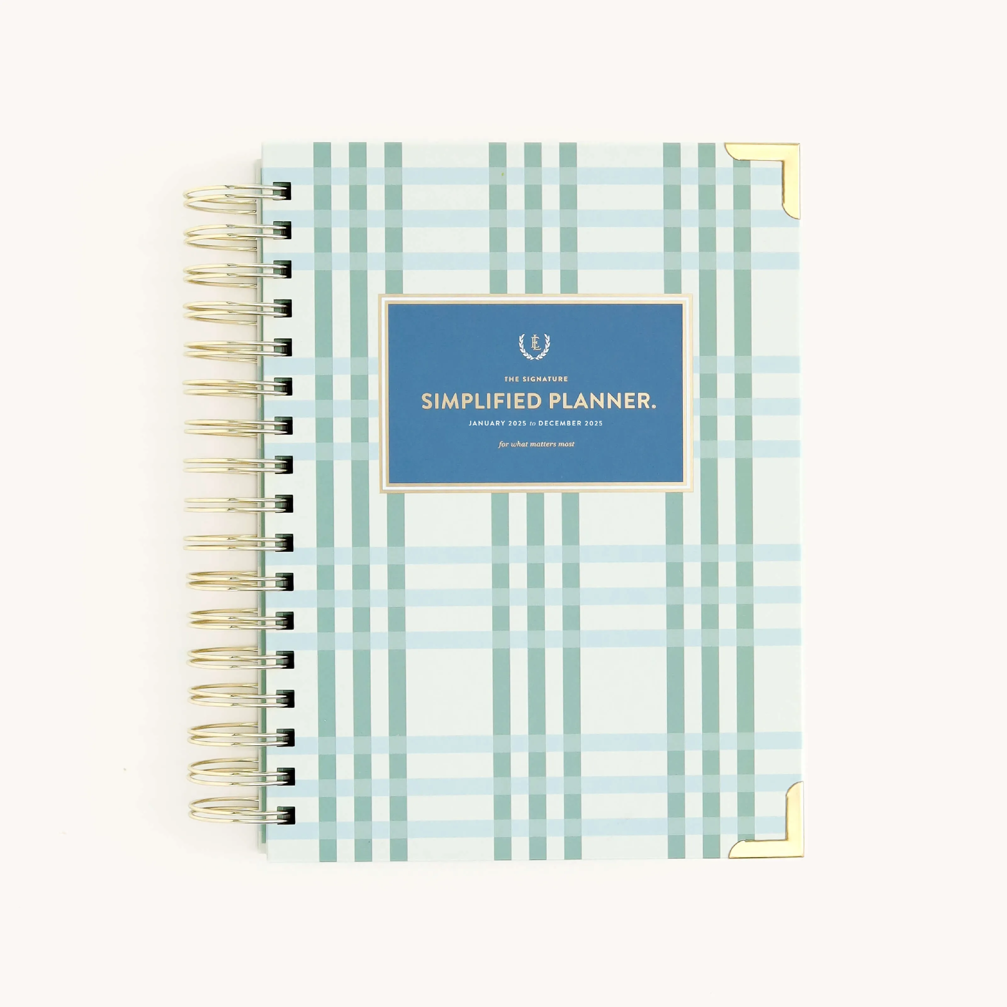 2025 Daily Simplified Planner - Pistachio Plaid