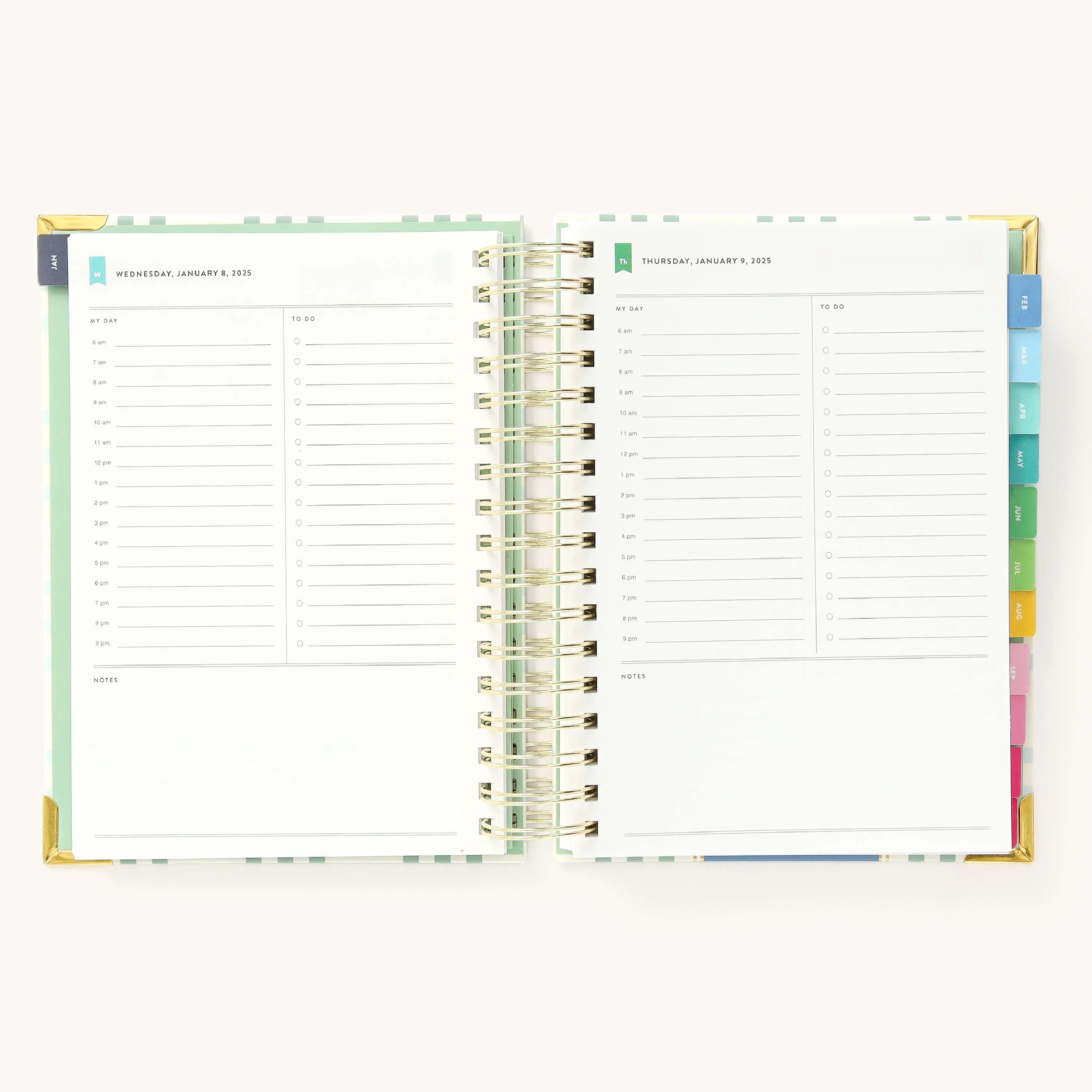 2025 Daily Simplified Planner - Pistachio Plaid