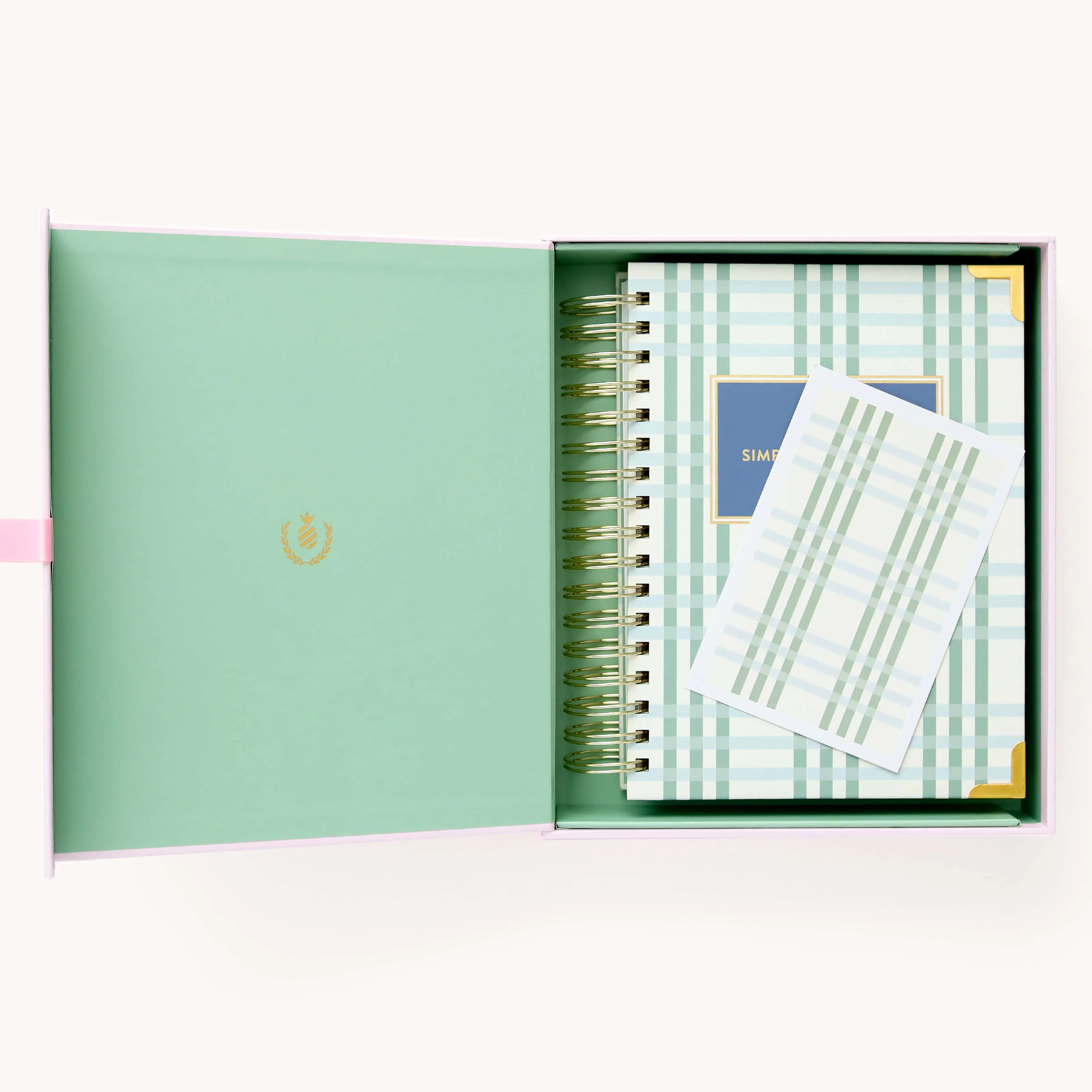 2025 Daily Simplified Planner - Pistachio Plaid
