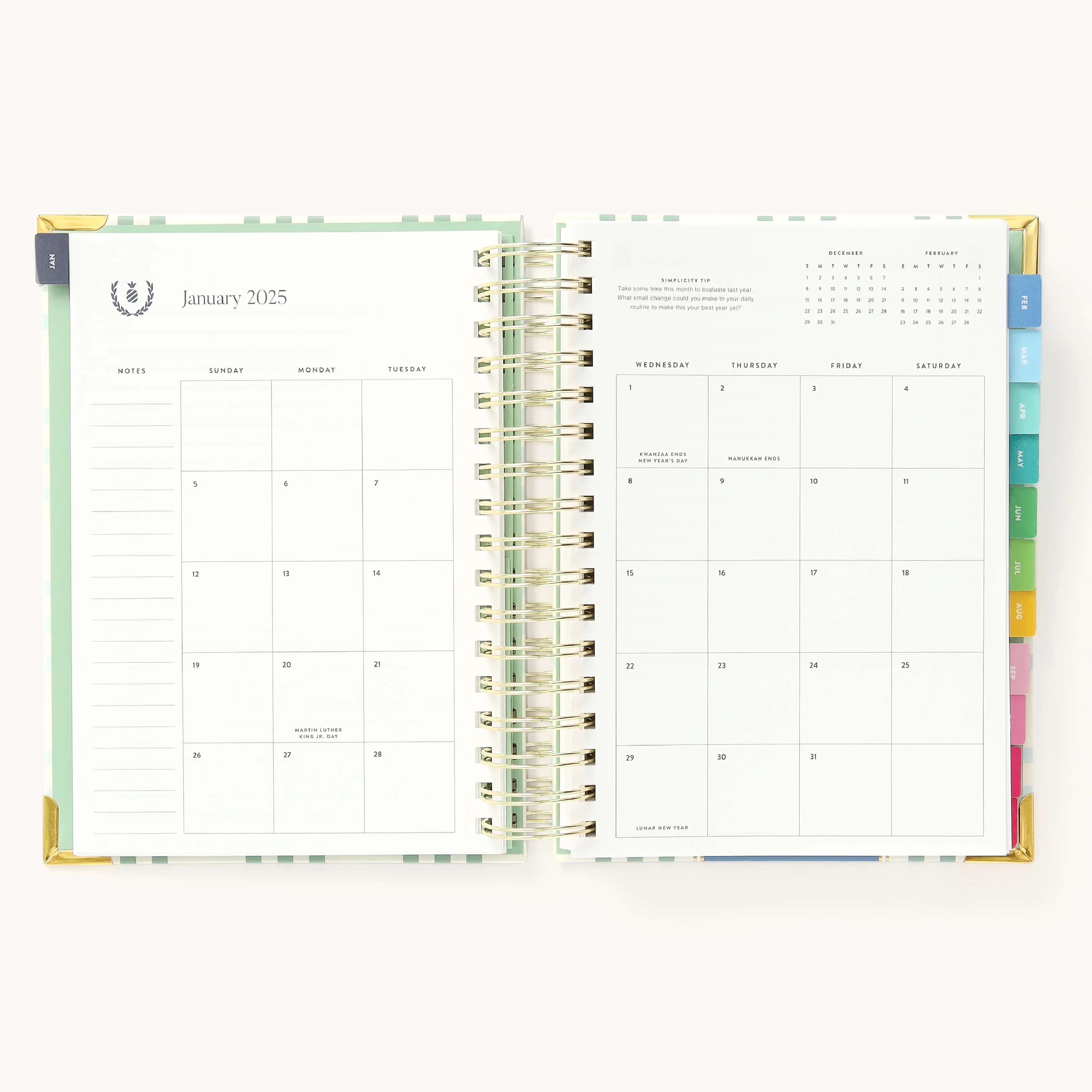 2025 Daily Simplified Planner - Pistachio Plaid
