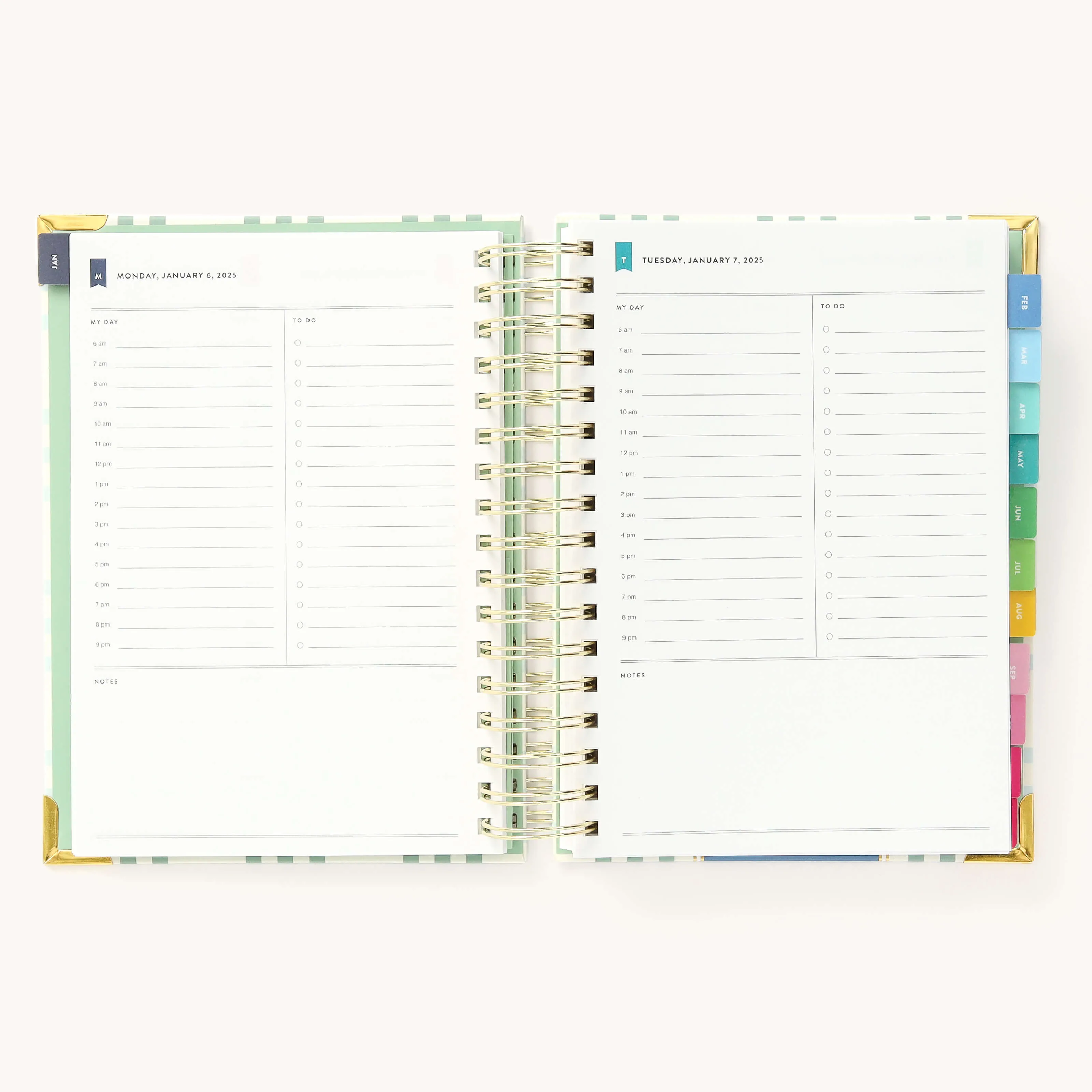 2025 Daily Simplified Planner - Pistachio Plaid