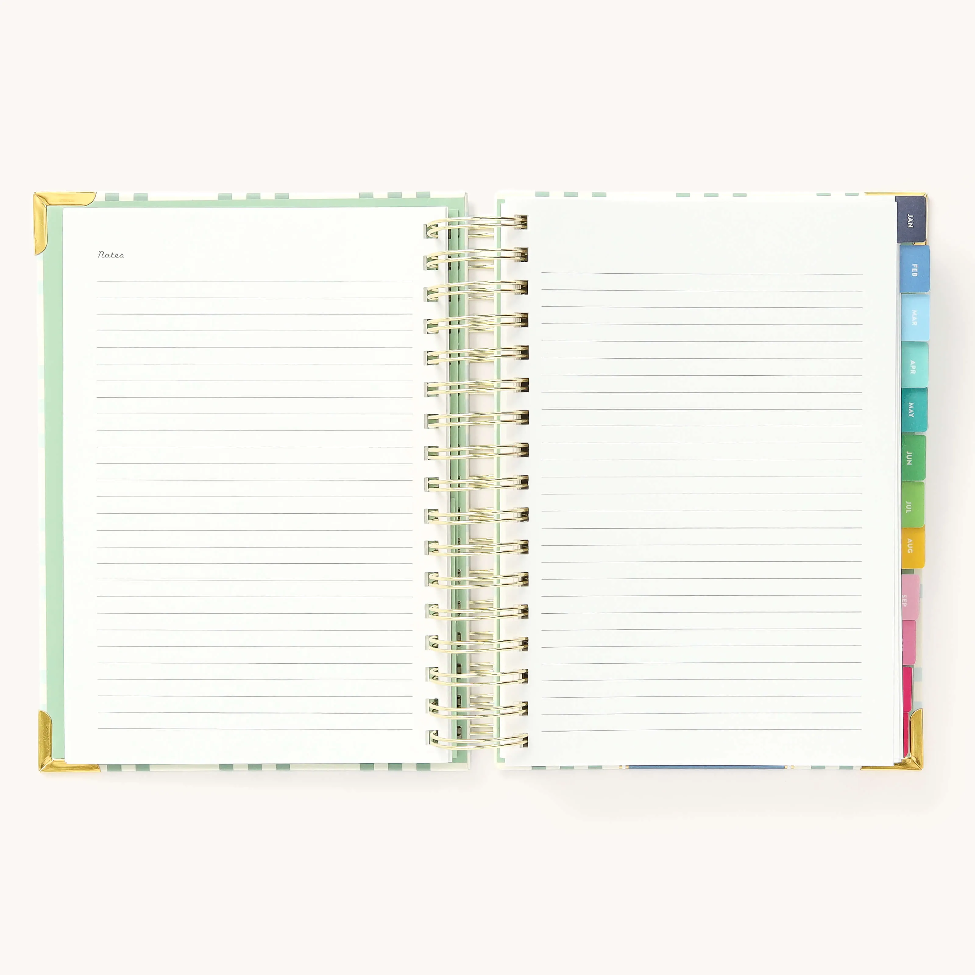 2025 Daily Simplified Planner - Pistachio Plaid
