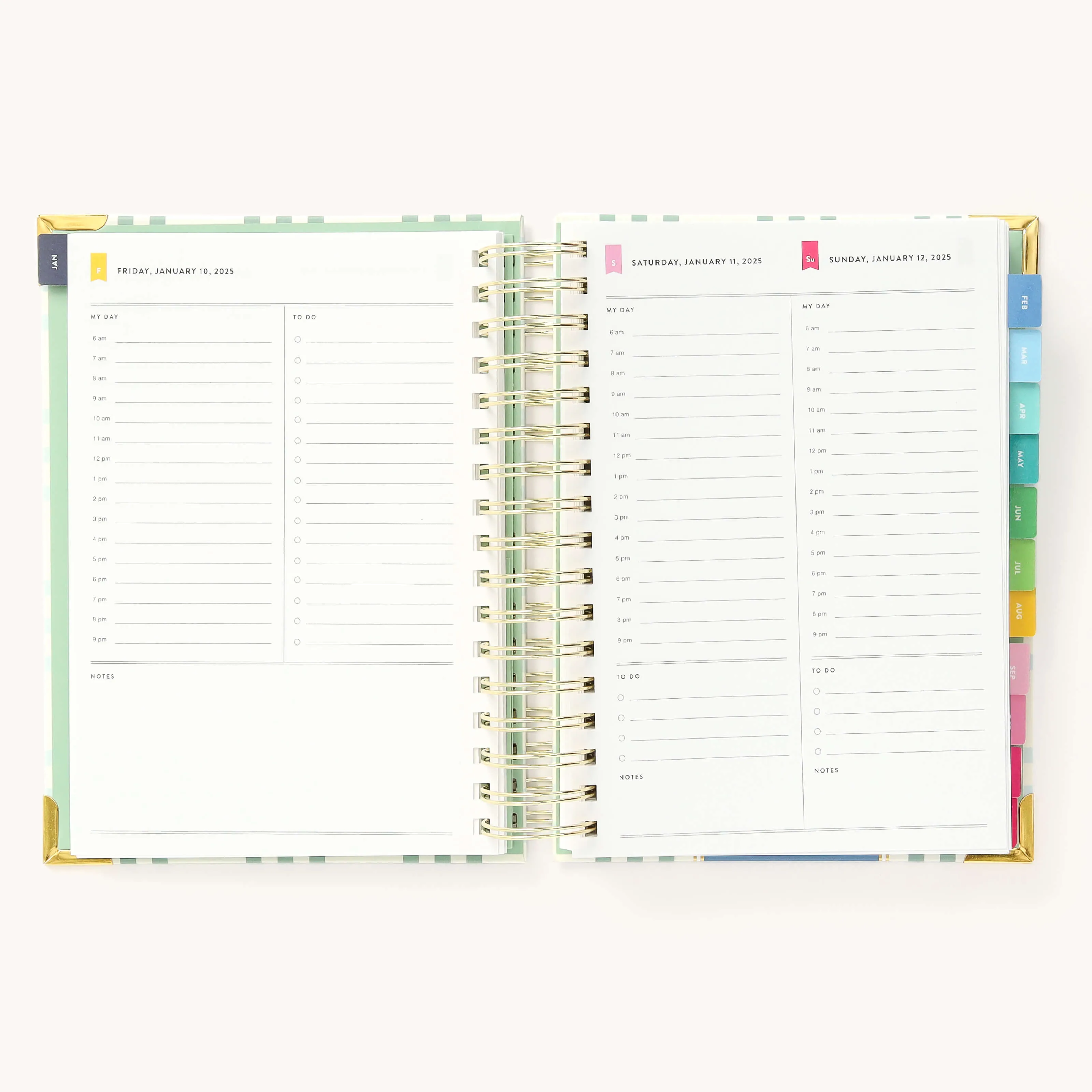 2025 Daily Simplified Planner - Pistachio Plaid
