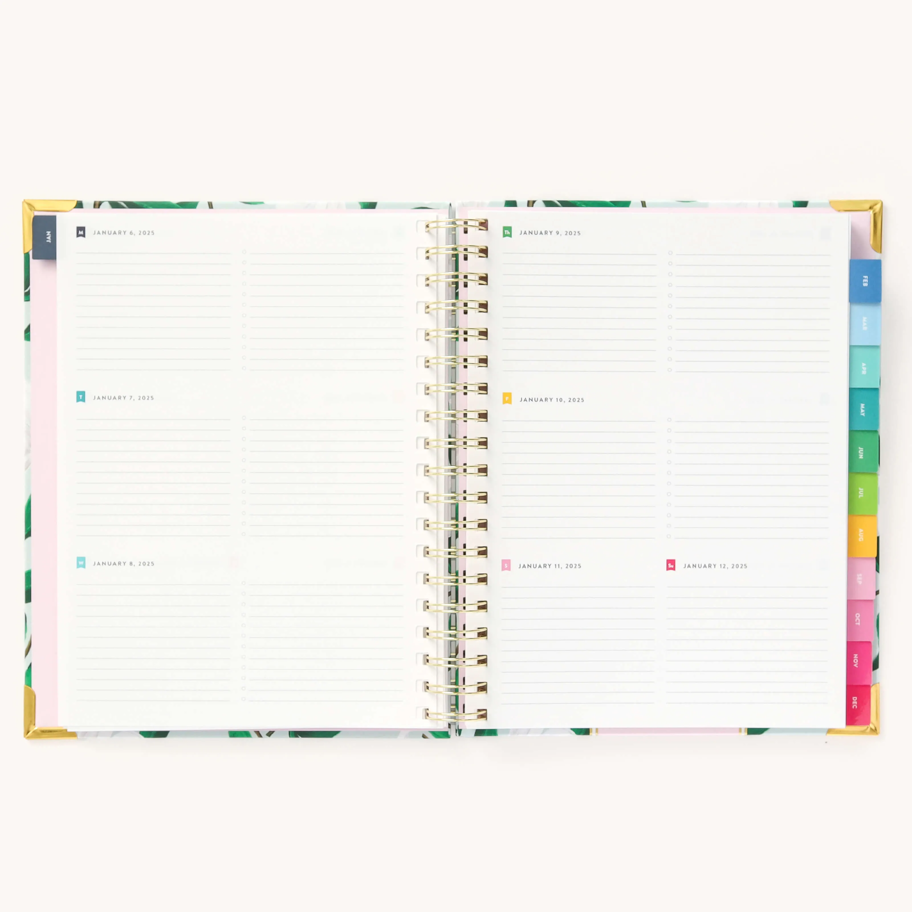 2025 Weekly Simplified Planner - Savannah Blooms