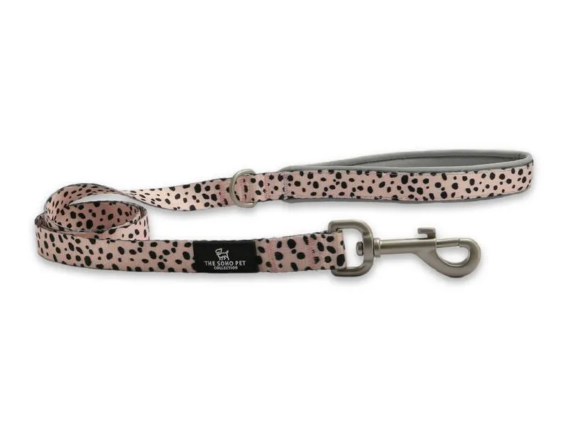 Ancol Soho Nylon Lead 100cm x 19mm - Dalmatian