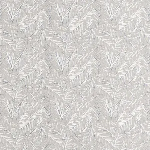 Anelli-Feather