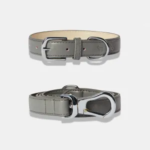 Ash Grey Dog Collar & Lead Set