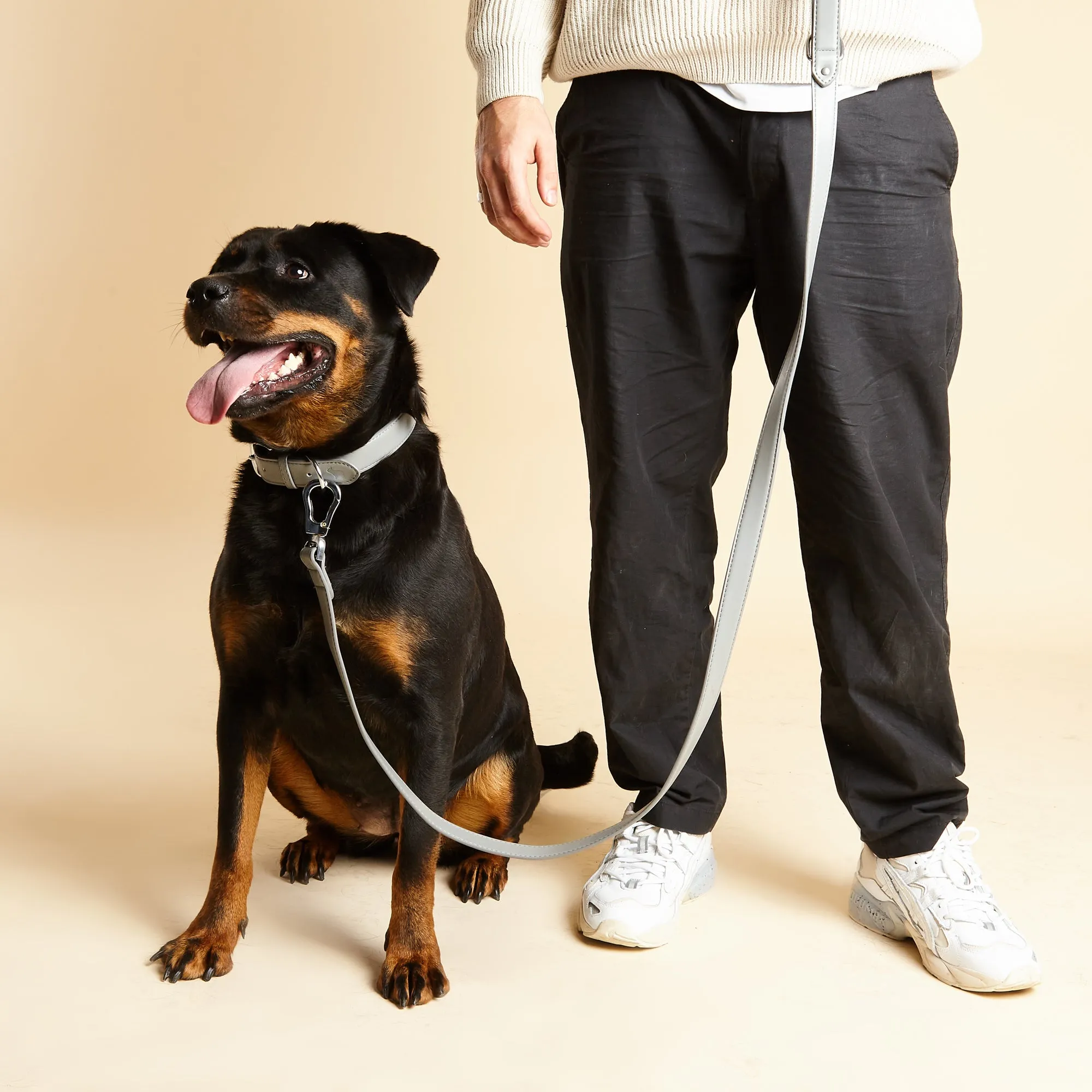 Ash Grey Dog Collar & Lead Set