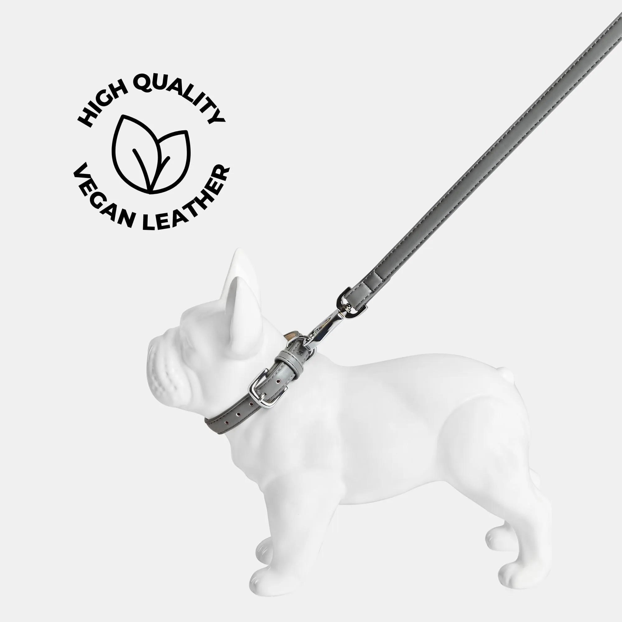 Ash Grey Dog Collar & Lead Set