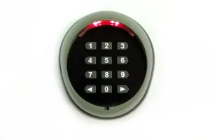 Autoslide Wireless Ten Digit Numeric Keypad
