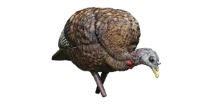Avian-X LCD Feeder Hen Turkey Decoy