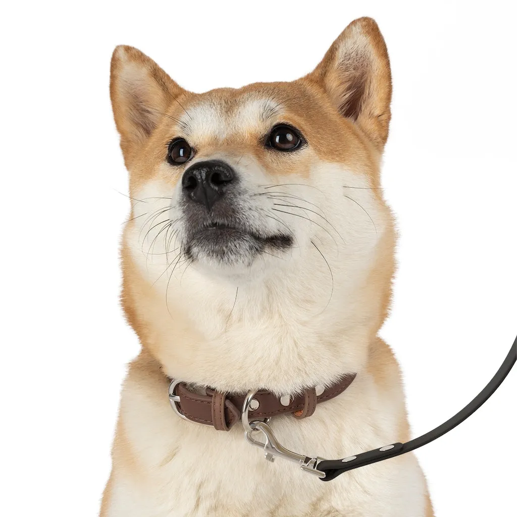 Aztec Earth Dog Leash