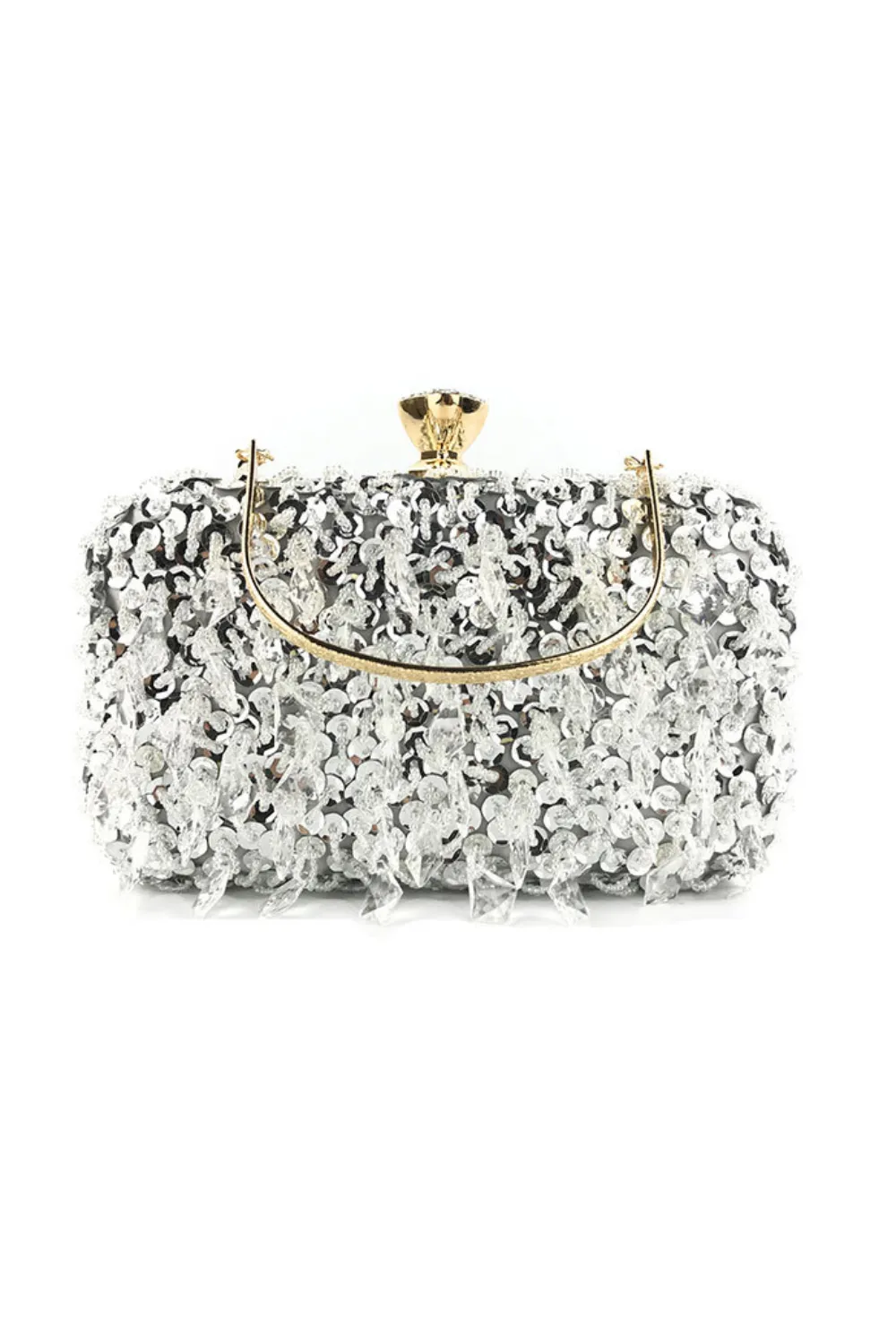Beading Sequin Bag
