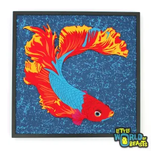 Betta Fish Portrait
