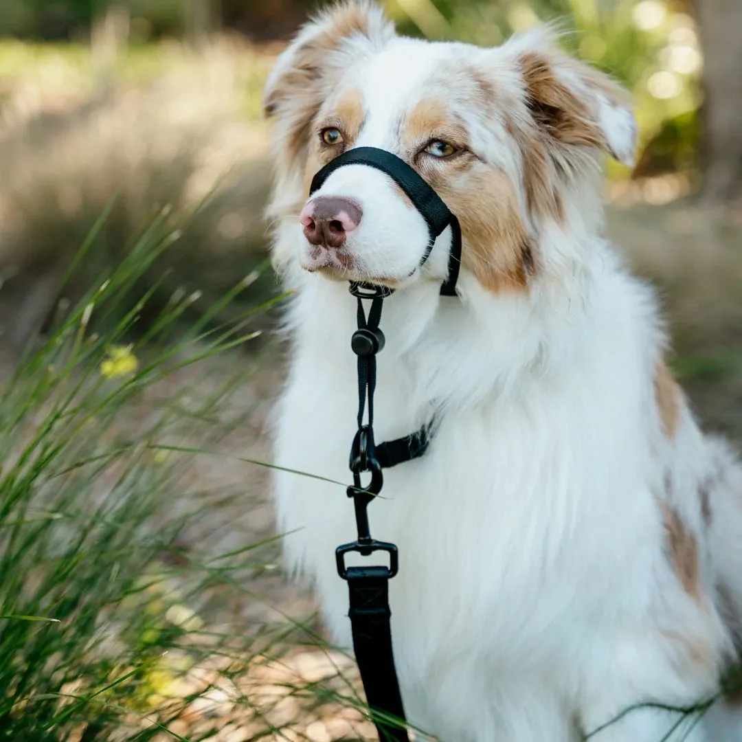 Blackout Halter    Safety Clip