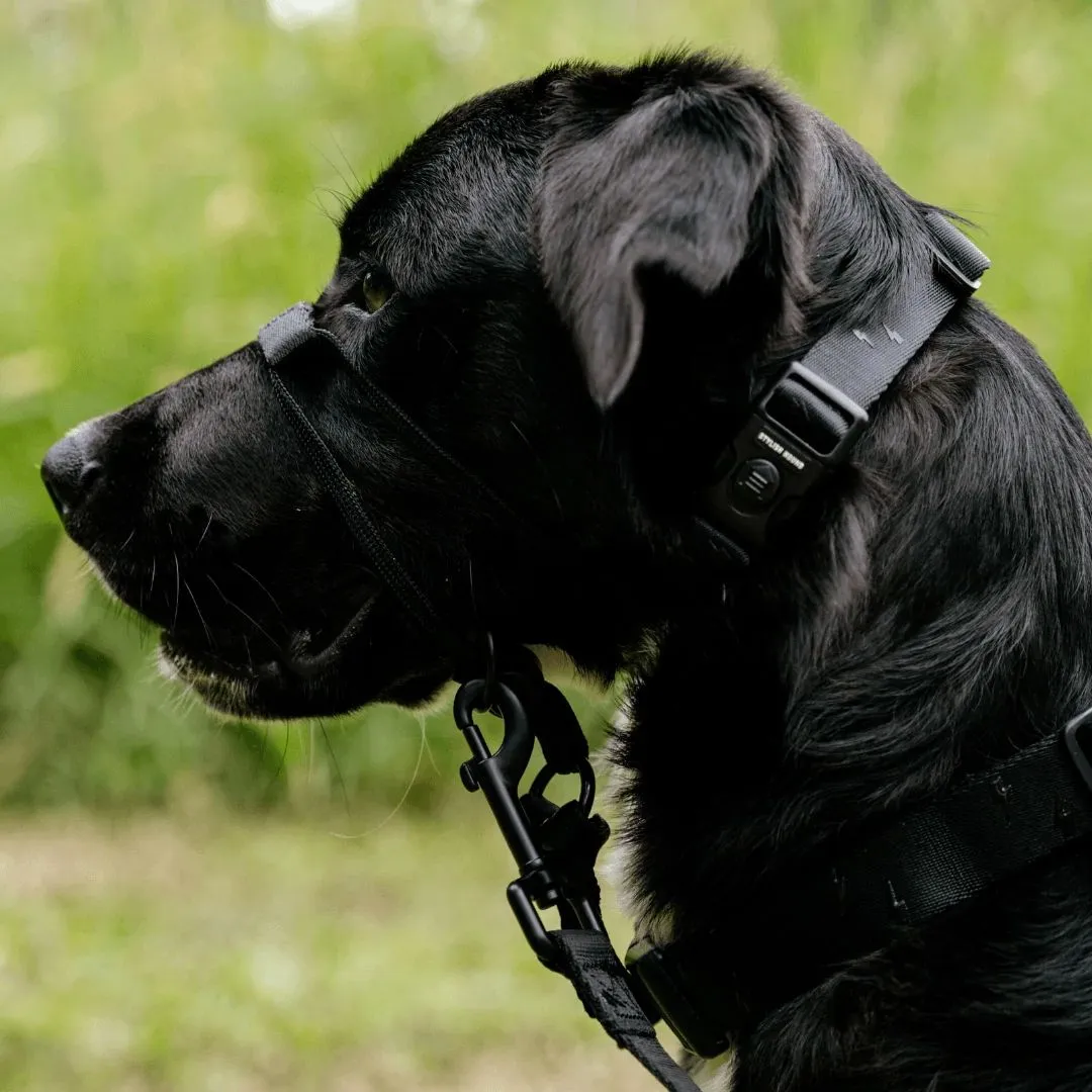 Blackout Halter    Safety Clip