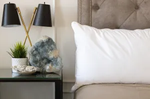 Bliss Pillow