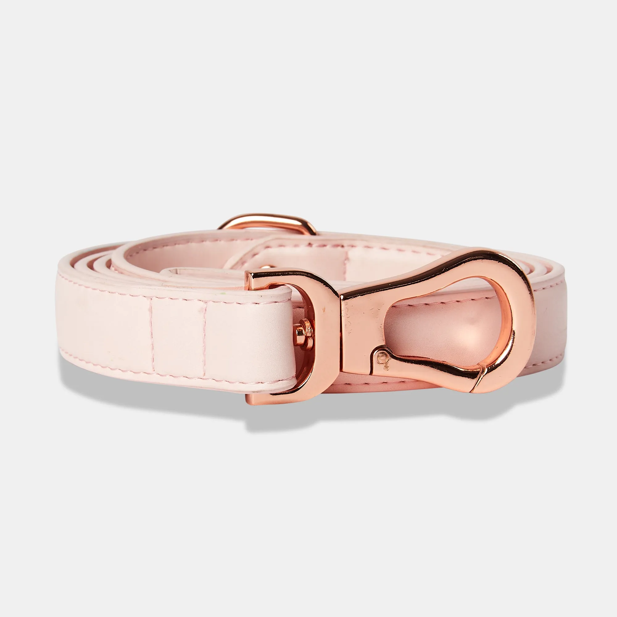 Blush Pink Dog Collar & Lead Set