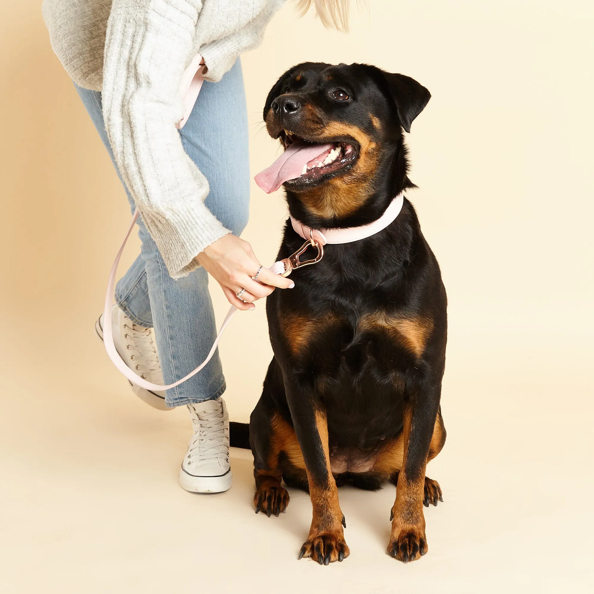 Blush Pink Dog Collar & Lead Set