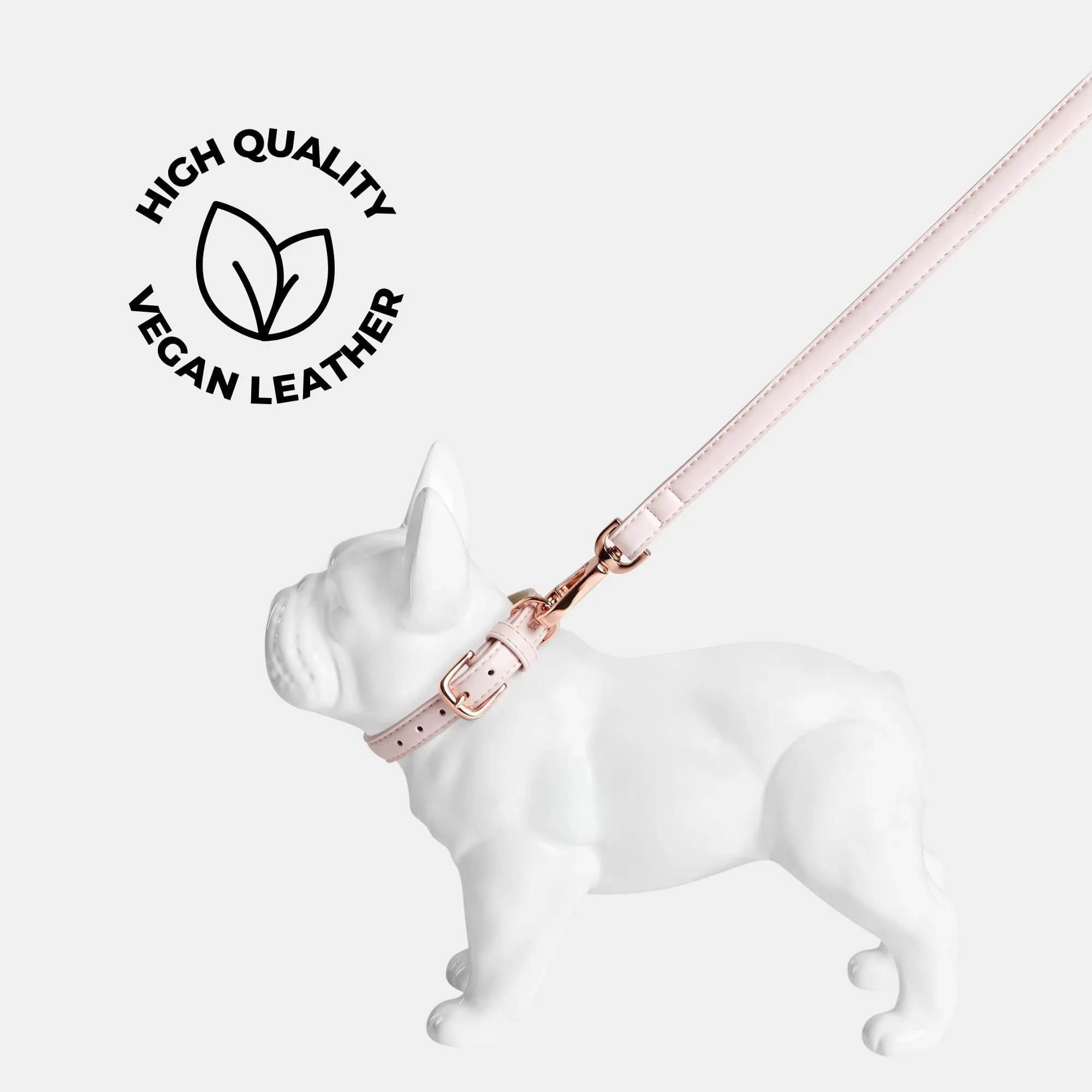 Blush Pink Dog Collar & Lead Set