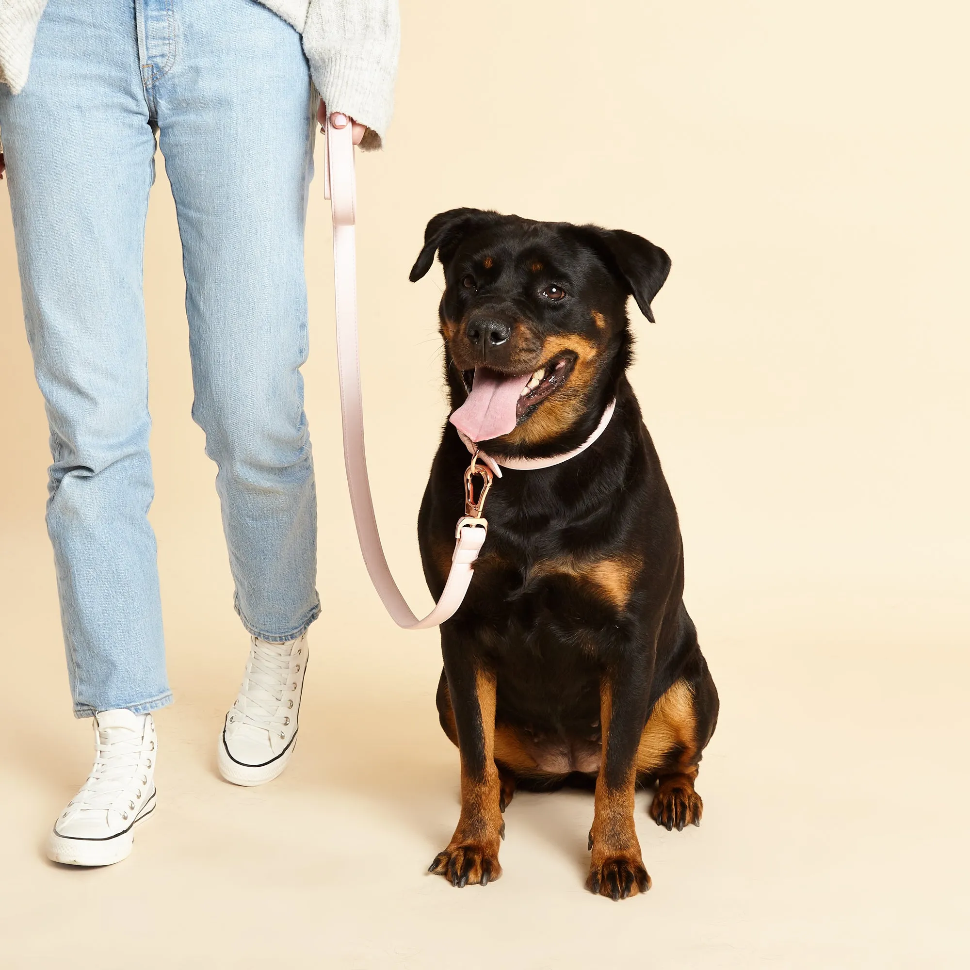 Blush Pink Dog Collar & Lead Set