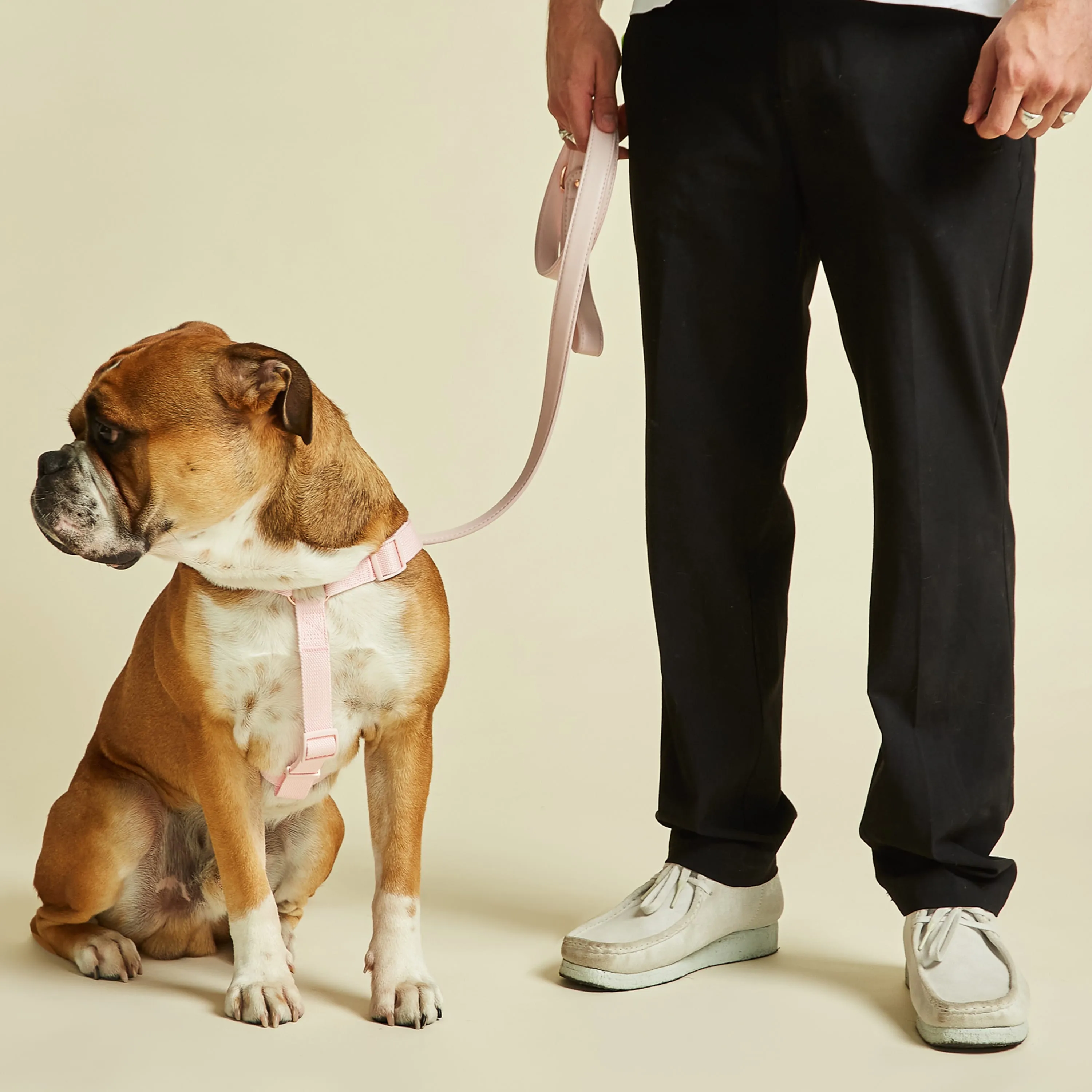 Blush Pink Dog Harness