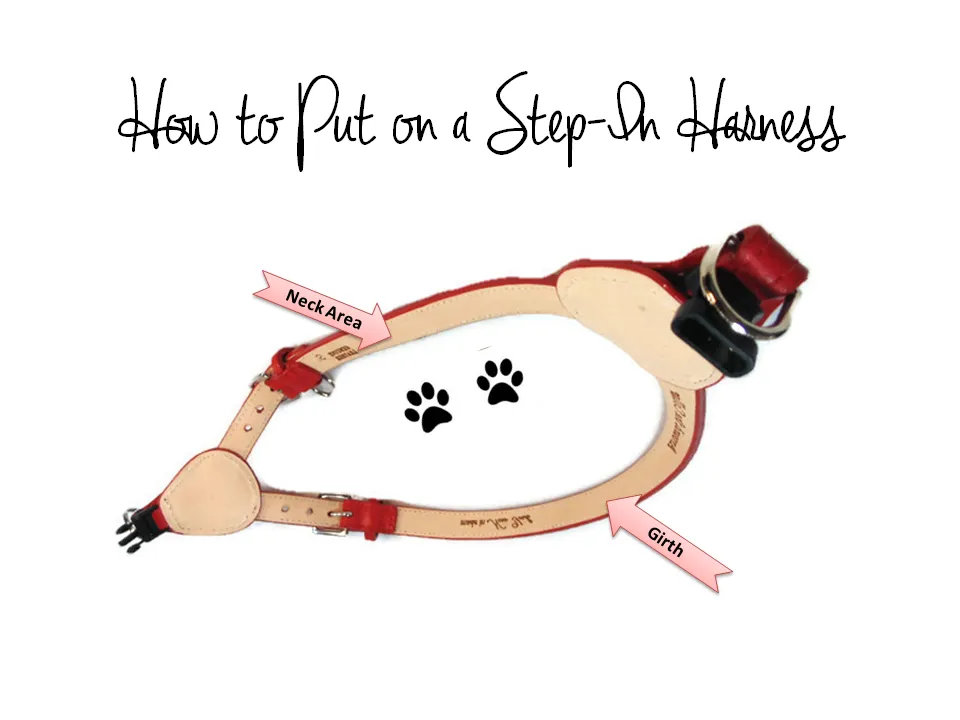Brie Leather Step-In Dog Harness with Clear Crystals on Straps and Tabs