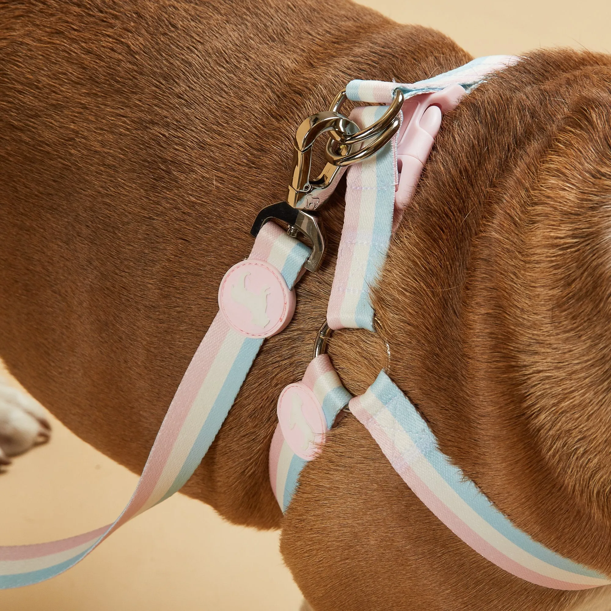 Candyfloss Stripe Fabric Dog Harness