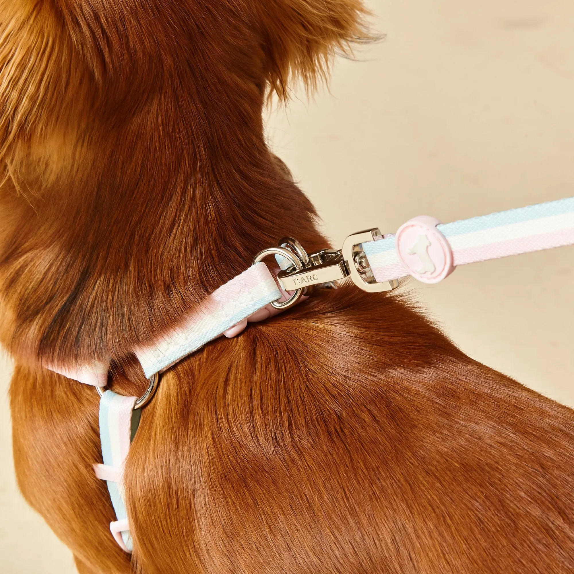Candyfloss Stripe Fabric Dog Harness