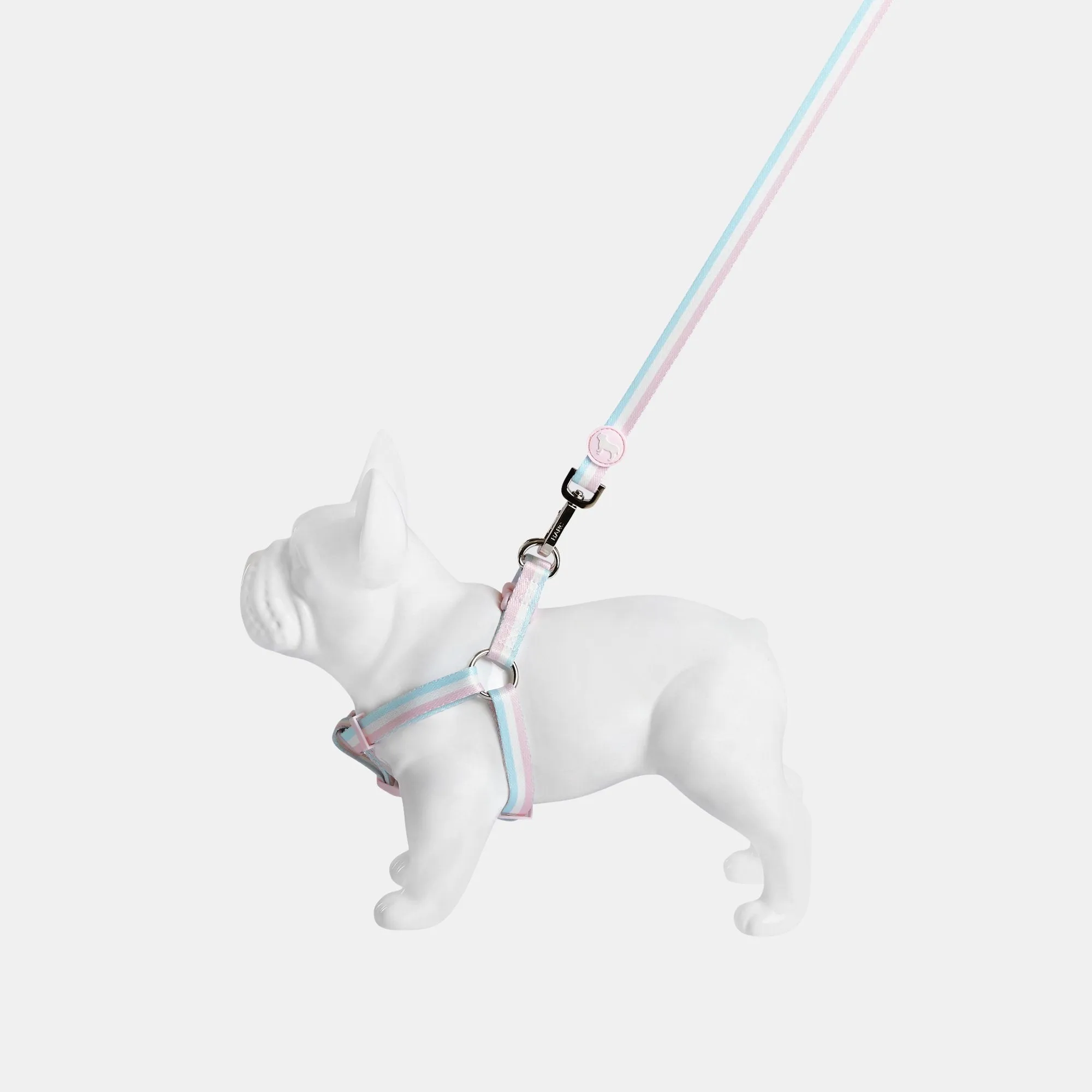Candyfloss Stripe Fabric Dog Harness