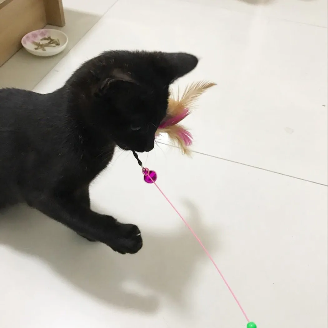 Cat Interactive Toy Stick Feather Wand With Small Bell Mouse Cage Toys Plastic Artificial Colorful Cat Teaser Toy Pet Supplies