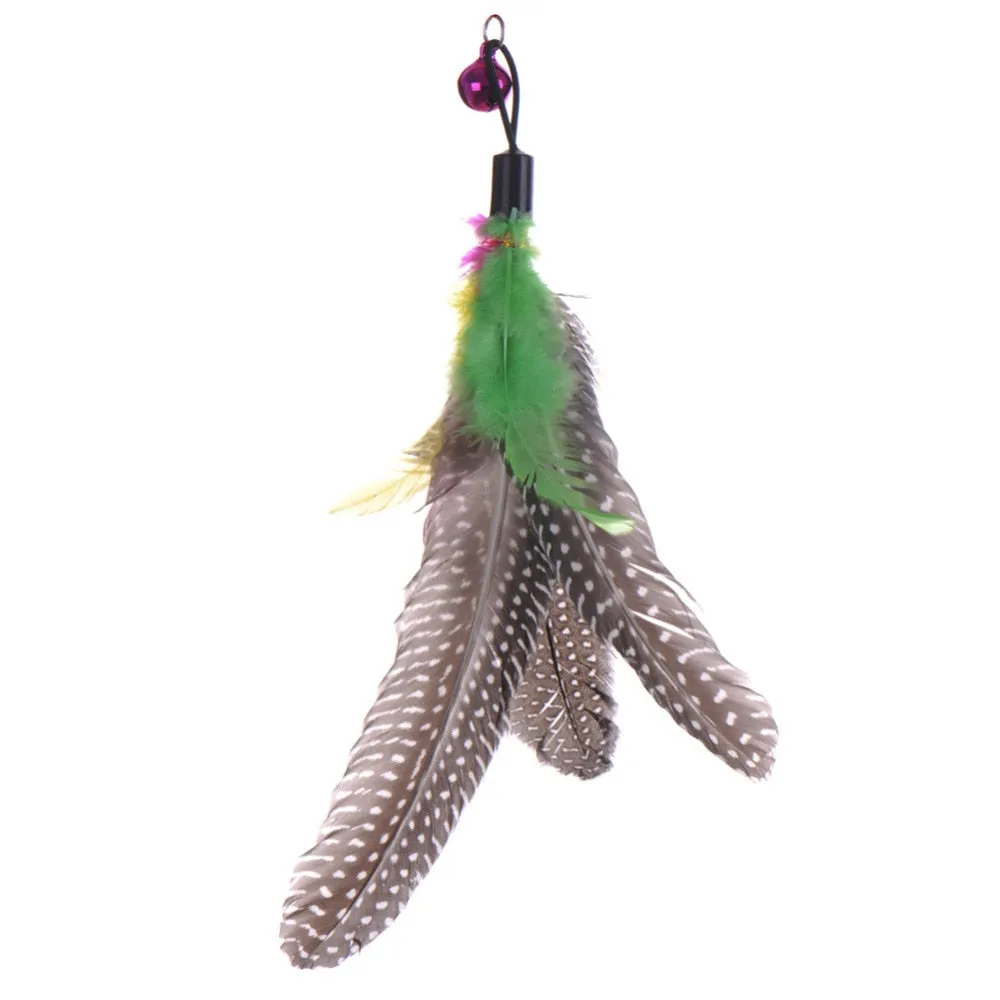 Cat Rod With Feather Toy
