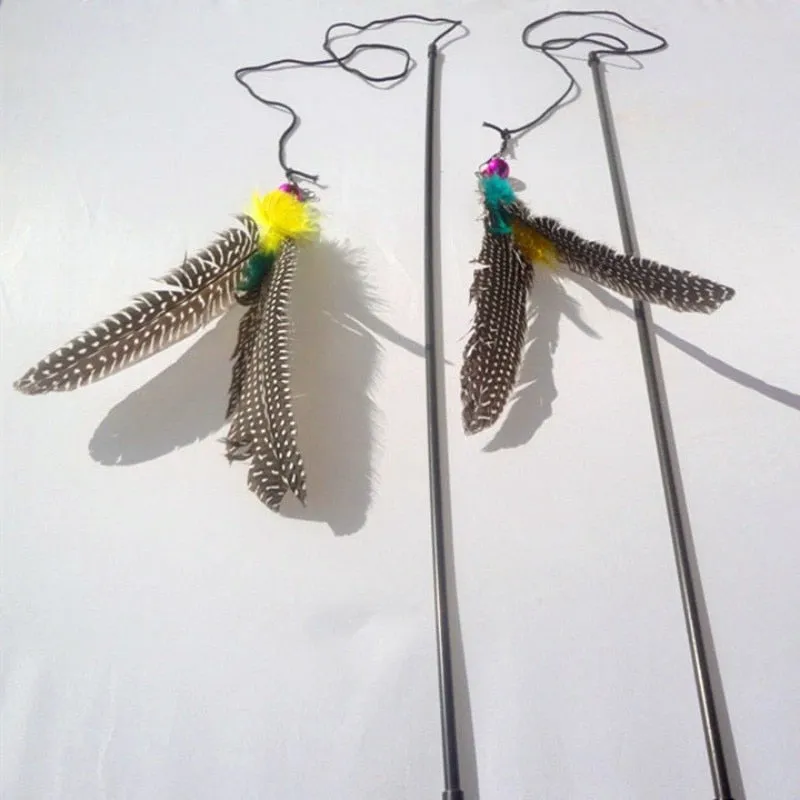 Cat Rod With Feather Toy