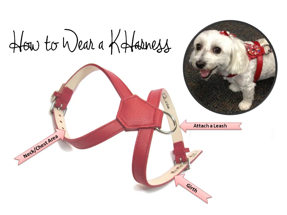 Classic Leather K Harness