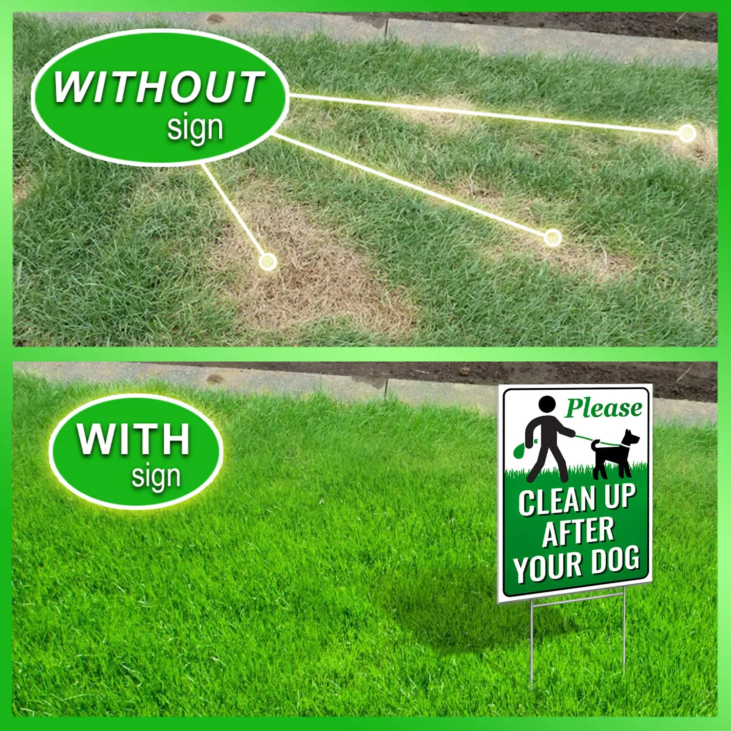 Clean Up After Your Dog Signs with Metal H-Stake - No Poop Zone for Your Lawn - Pick Up Signs Authority 12"x9" After Your Pooch with Ease - Durable Yard Signage Solution to Maintain a Pristine Yard