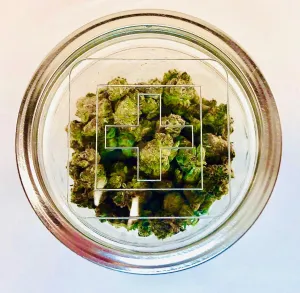 Clear Top Ball Jars - 4oz & 8oz