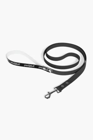 Dog Leash
