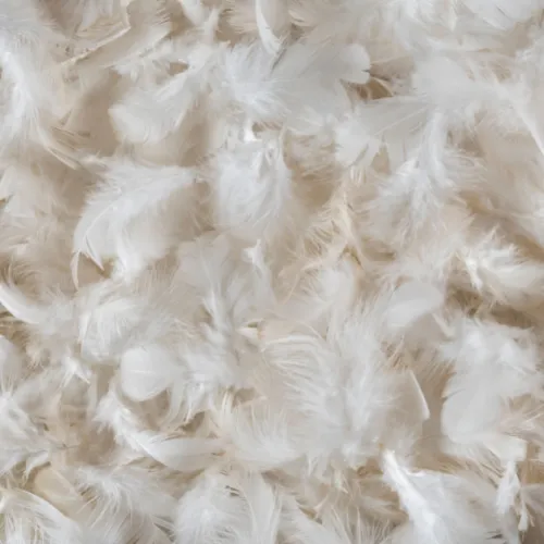 Down feather Pillow insert MADE IN USA: 22X22