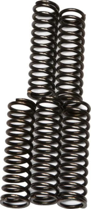 EBC CSK67 Redline Clutch Springs