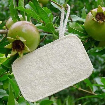 Eco-Friendly Loofah Sponge – for Bathtime Exfoliation or as a Kitchen Scrubber