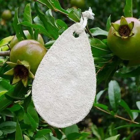 Eco-Friendly Loofah Sponge – for Bathtime Exfoliation or as a Kitchen Scrubber