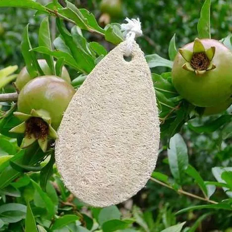 Eco-Friendly Loofah Sponge – for Bathtime Exfoliation or as a Kitchen Scrubber